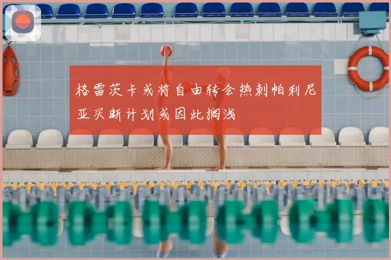 格雷茨卡或将自由转会热刺帕利尼亚买断计划或因此搁浅