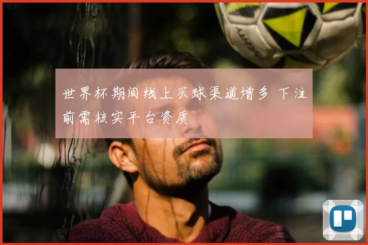 世界杯期间线上买球渠道增多 下注前需核实平台资质