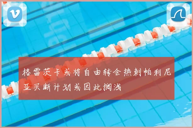 格雷茨卡或将自由转会热刺帕利尼亚买断计划或因此搁浅