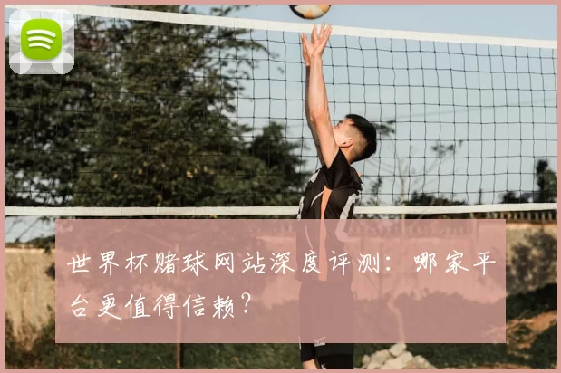 世界杯赌球网站深度评测:哪家平台更值得信赖?