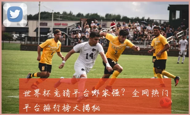 世界杯竞猜平台哪家强？全网热门平台排行榜大揭秘
