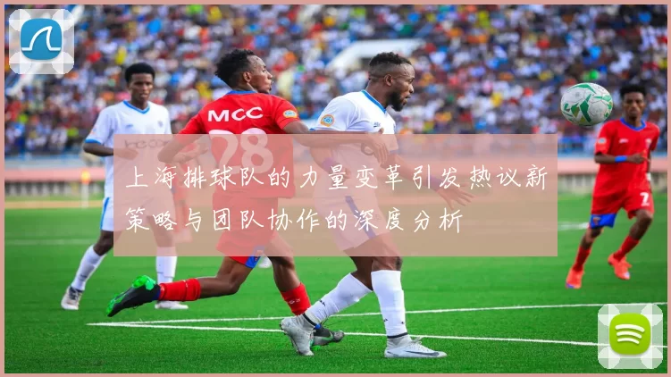上海排球队的力量变革引发热议新策略与团队协作的深度分析