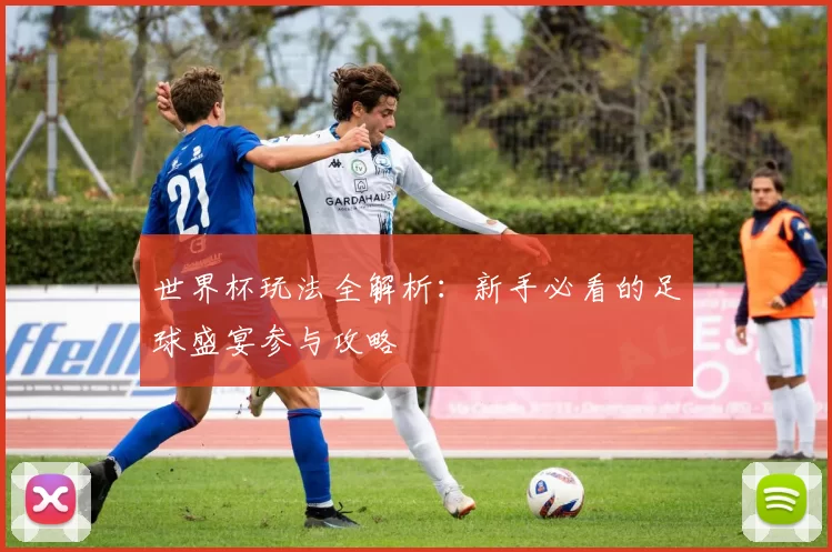 世界杯玩法全解析：新手必看的足球盛宴参与攻略