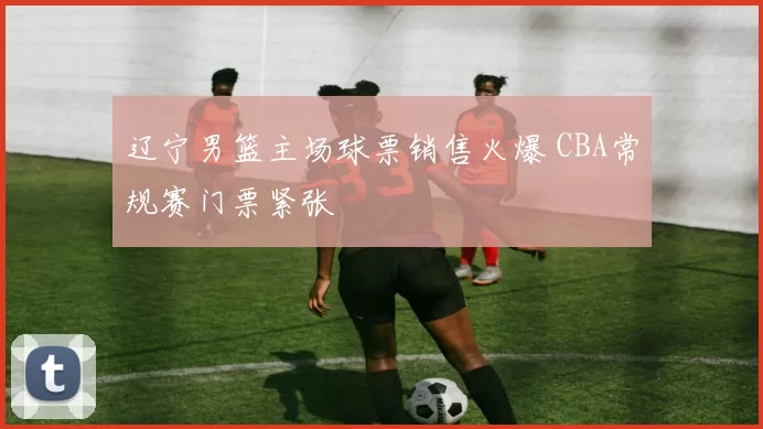 辽宁男篮主场球票销售火爆 CBA常规赛门票紧张