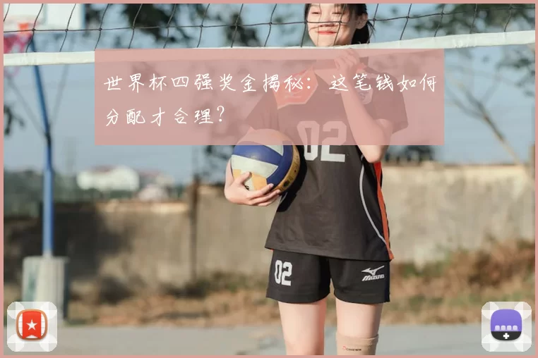 世界杯四强奖金揭秘:这笔钱如何分配才合理?